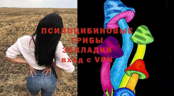 мяу мяу мука Алзамай