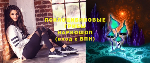 мяу мяу мука Алзамай