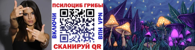 Галлюциногенные грибы мицелий  blacksprut ТОР  Андреаполь 