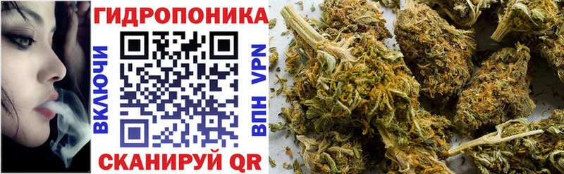 купить  цена  Андреаполь  Бошки Шишки конопля 